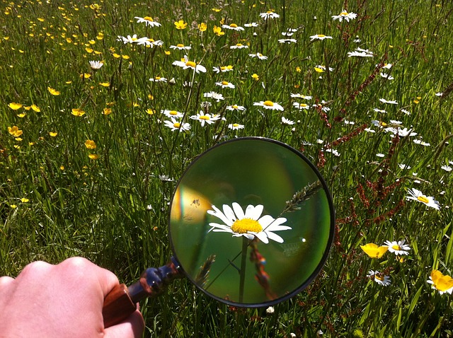 MAGNIFYING GLASS 